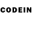 Codein Purple Drank Piligrim Play