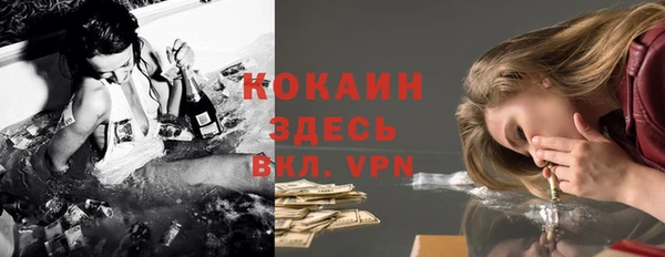прущие грибы Бородино