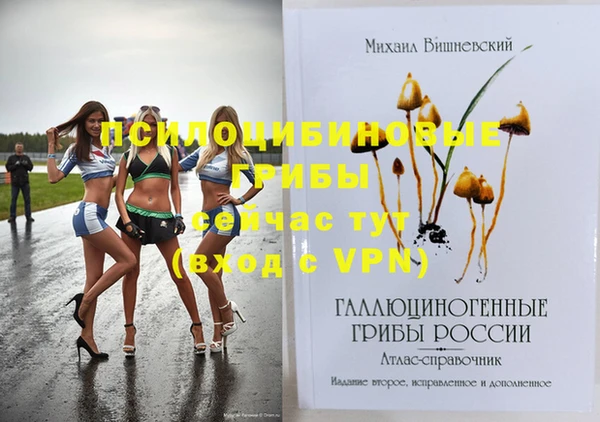 прущие грибы Бородино