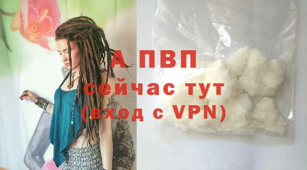 стафф Богданович