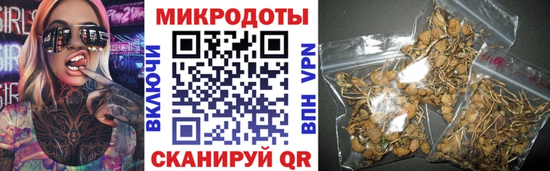 Галлюциногенные грибы Psilocybine cubensis  наркотики  Белореченск 